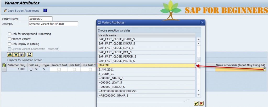 how-to-create-a-dynamic-variant-in-sap-using-tvarv-table-sap-for